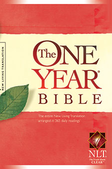 One Year NLT Bibble